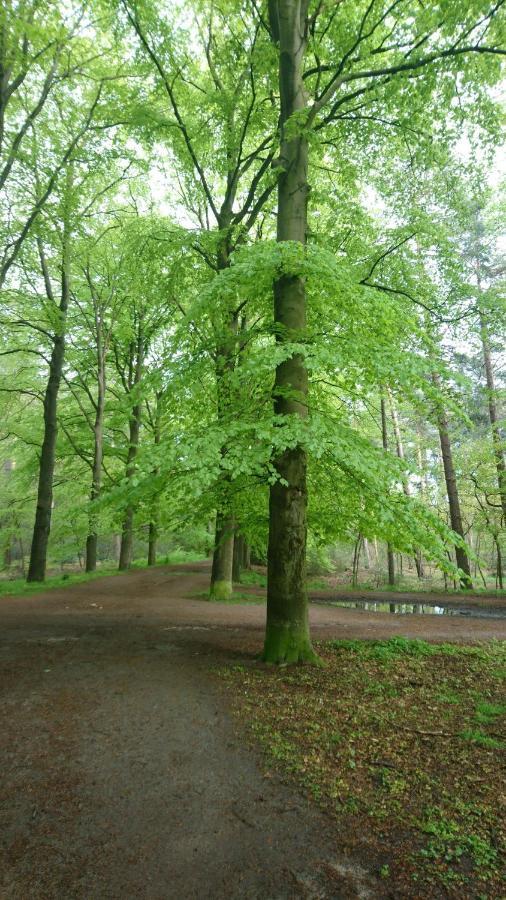 Overbosch Билтховен Экстерьер фото